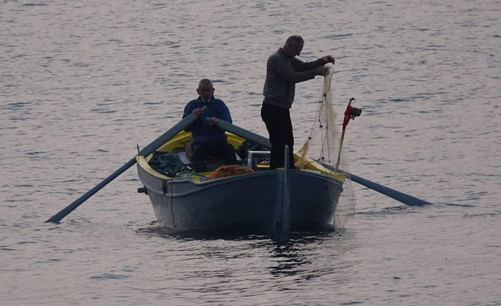 Hamsinin artması kıyı balıkçılarını vurdu