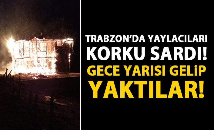 Trabzon yaylacıları korku saldı! Kimliği belirsiz kişiler gece gelip...