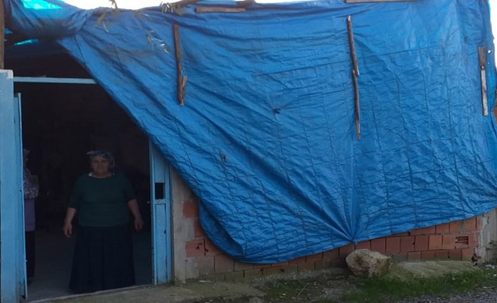 Harabe evde yaşam savaşı