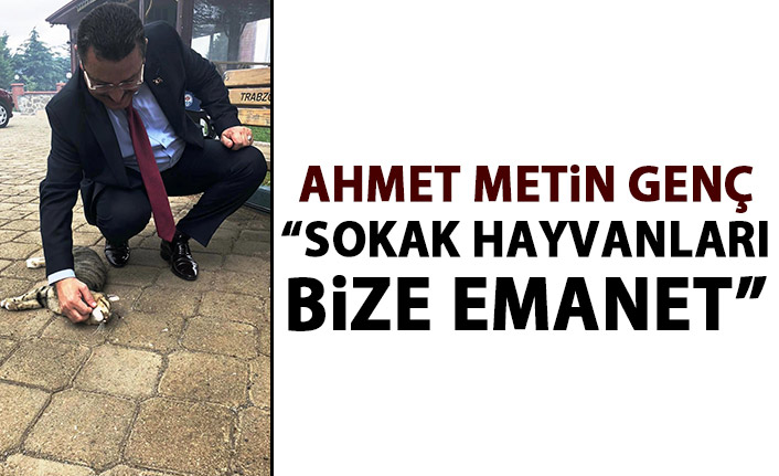 Genç: Sokak hayvanları bize emanet