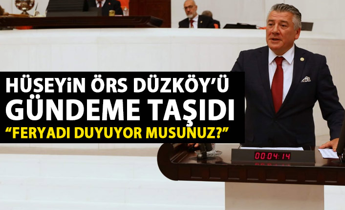 Hüseyin Örs TBMM'de Düzköy'ü gündeme taşıdı!