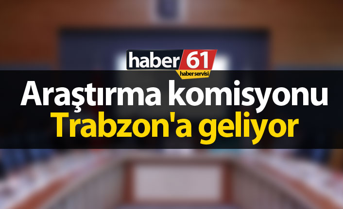 Meclis Araştırma Komisyonu Down Sendromu Çalıştayı İçin Trabzon'da