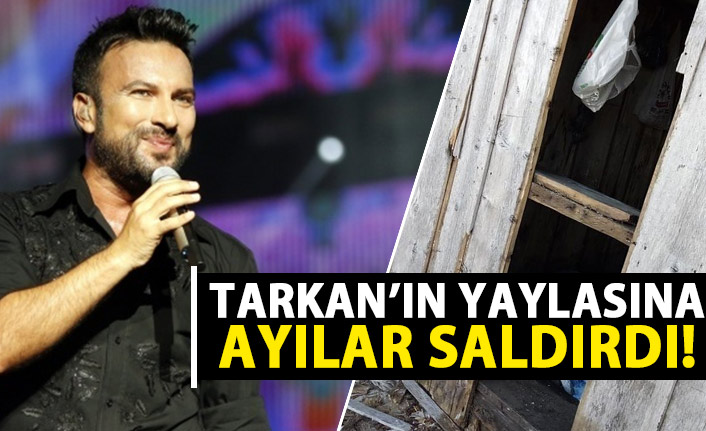 Tarkan'ın yaylasına ayı saldırısı!