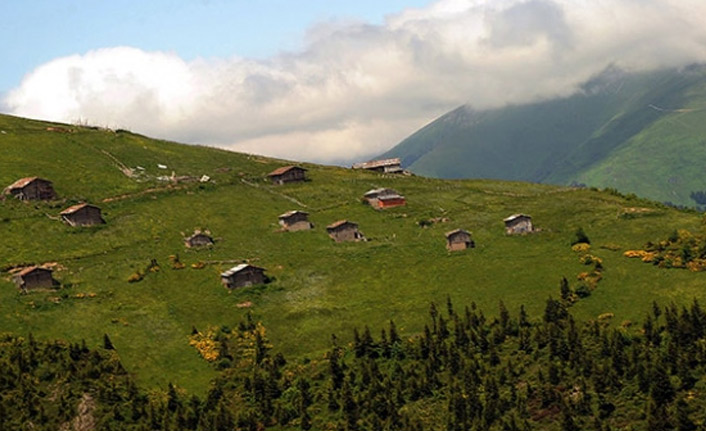 Erdoğan'dan Trabzon'daki yayla için flaş karar