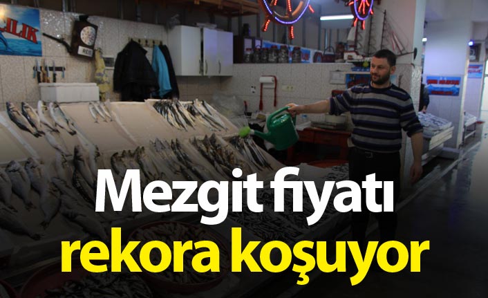 Mezgit fiyatı rekora koşuyor