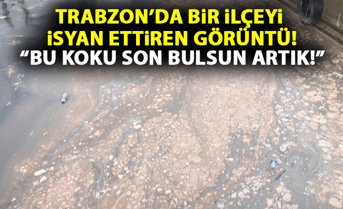 Trabzon'da hamsi kokusu tepkisi artıyor!