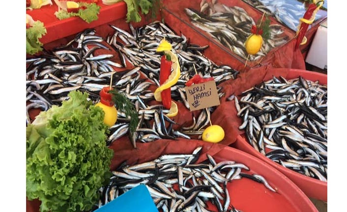 Havalar soğudu hamsi fiyatları tavan yaptı