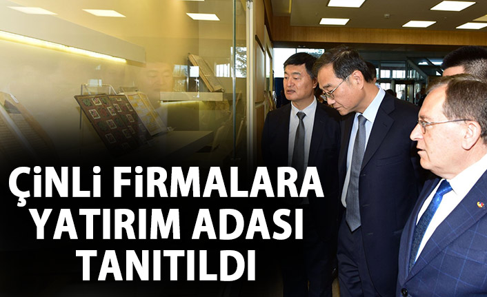 Çinli firmalara Yatırım Adası tanıtıldı