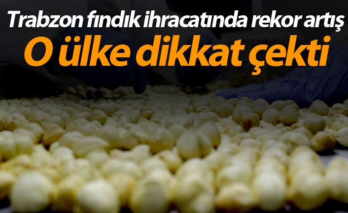 Trabzon fındık ihracatında rekor artış - O ülke dikkat çekti