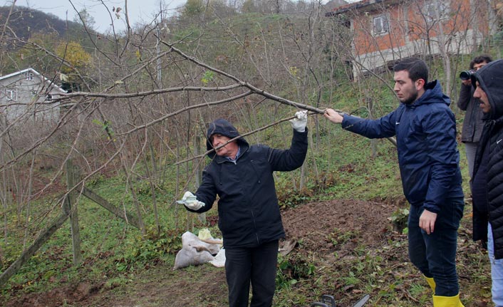 TTB’den Fındık Dikim ve Budama Eğitimi
