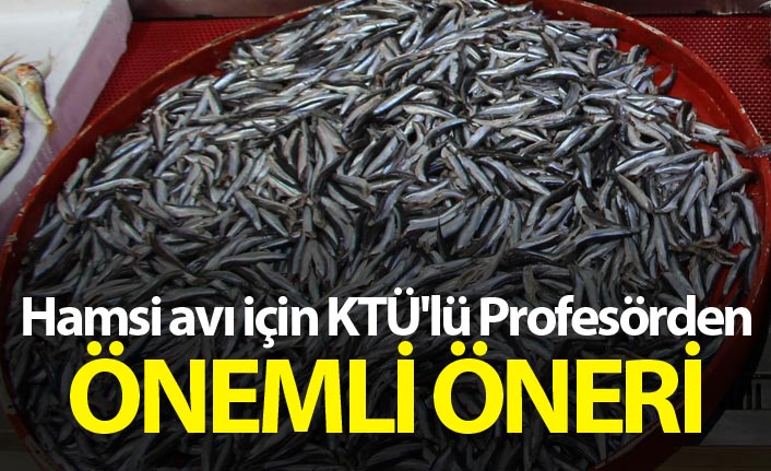 Hamsi avı için KTÜ'lü Profesörden önemli öneri