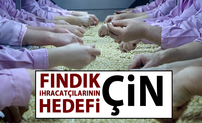 Fındık ihracatçılarının hedefi Çin!