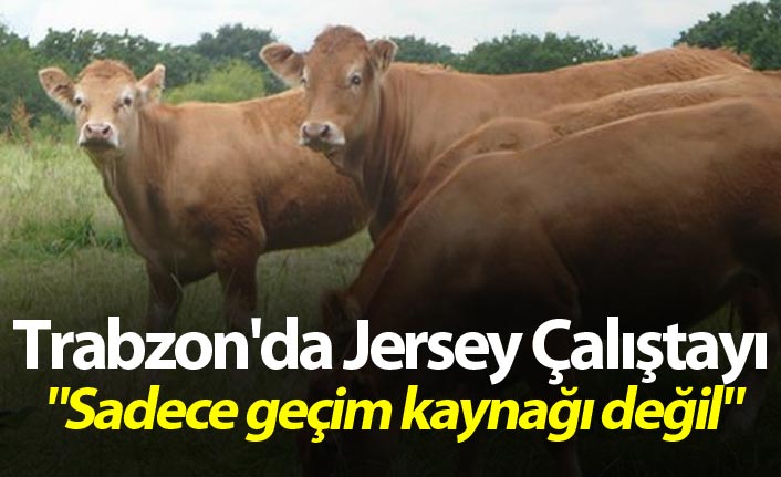 Trabzon'da Jersey Çalıştayı - "Sadece geçim kaynağı değil"