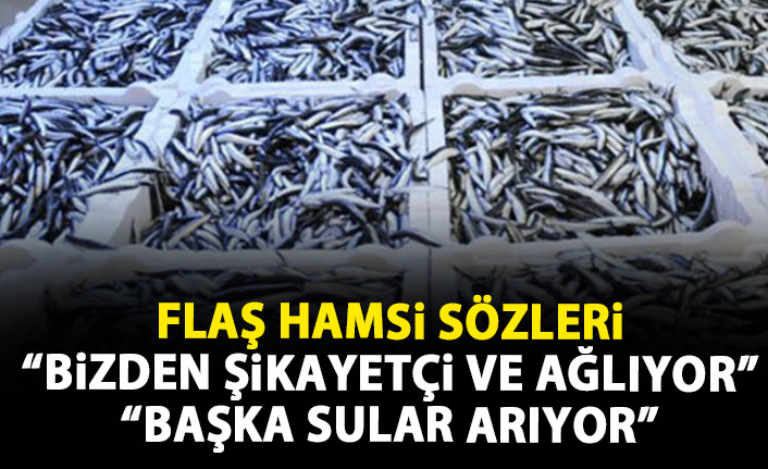 Flaş sözler: Hamsi bizden şikayetçi ve ağlıyor!
