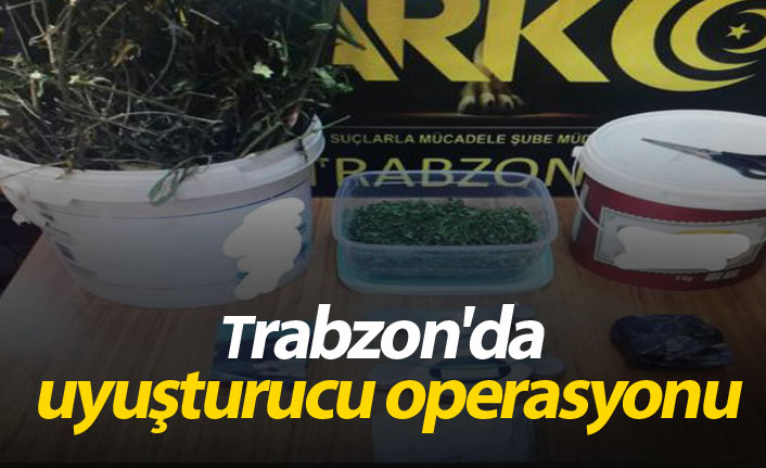 Trabzon'da uyuşturucu operasyonu!