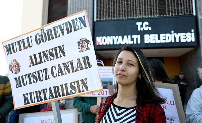 Hayvanseverin protesto ettiği müdür görevden alındı