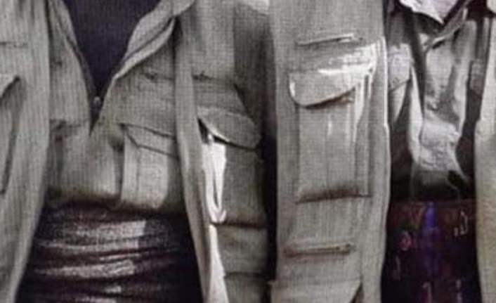 Ailesi ile görüşülen bir PKK'lı güvenlik güçlerine teslim oldu