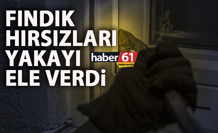 Trabzon'da fındık hırsızları yakayı ele verdi!