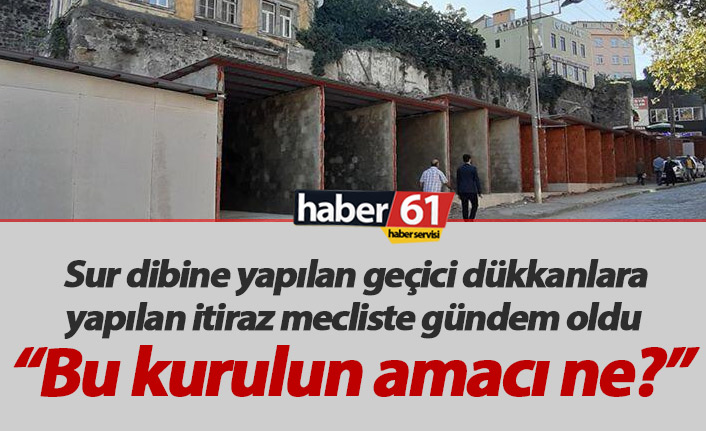 "Trabzon'da Tabiat Varlıkları Koruma Kurulu'nun amacı nedir?"