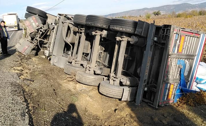 Yem yüklü kamyon devrildi: 1 yaralı