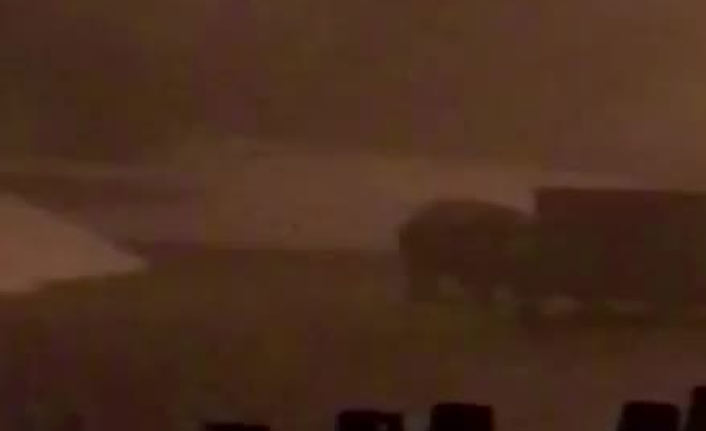 Ayı aç kaldı çöp konteynerine geldi