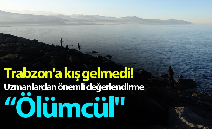 Trabzon'a kış gelmedi! Uzmanlardan önemli değerlendirme "Ölümcül"