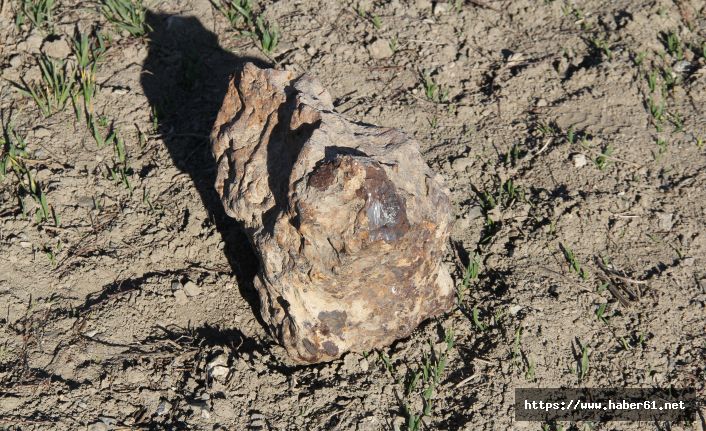 Nohut ektiler göktaşı hasat ettiler