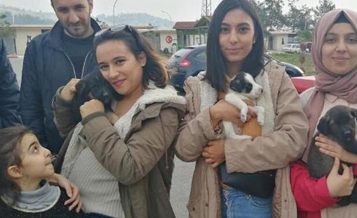 Görüntüler sosyal medyayı ayağa kaldırdı! O barınaktaki hayvanlar sahiplenildi