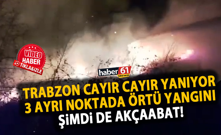 Trabzon cayır cayır yanıyor! 3 ayrı noktada yangın! 23.12.2019