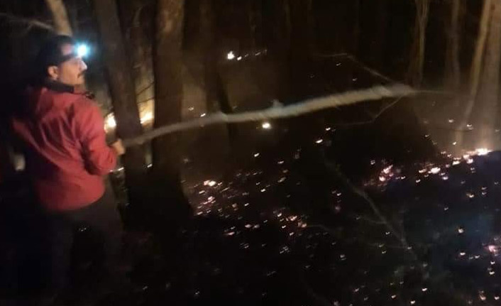 Borçka’da orman yangını gece müdahalesiyle kontrol altına alındı