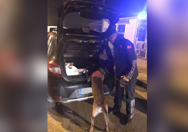 Ordu’da jandarma uygulamalarında 221 aranan kişi yakalandı