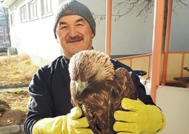 Yaralı bulundu tedavi altına alındı