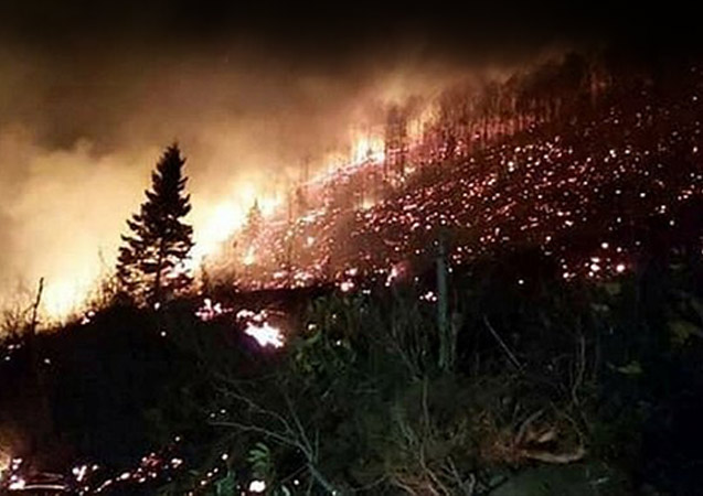 Trabzon’daki Orman yangınlarının nedenleri belli oldu