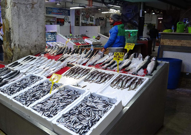 Beklenen hamsi Gürcistan'dan geldi