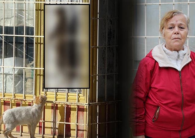 Beslediği kedi asılarak öldürülen Tuğba Yurttaş: Bu gözdağı