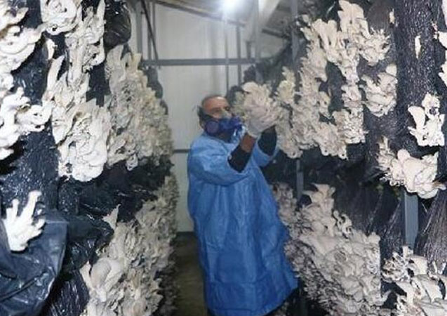 Tesadüfen başladı! Paraya para demiyor