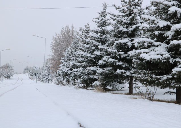 Sivas beyaza büründü, 251 köy yolu araç ulaşımına kapalı