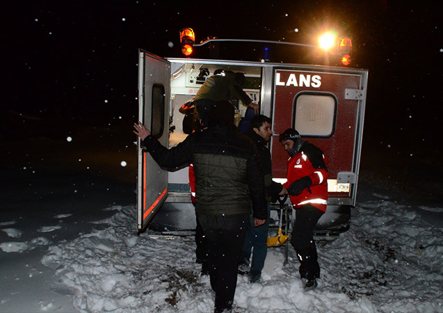 Yavru ayılara yem vermeye gittiler mahsur kaldılar