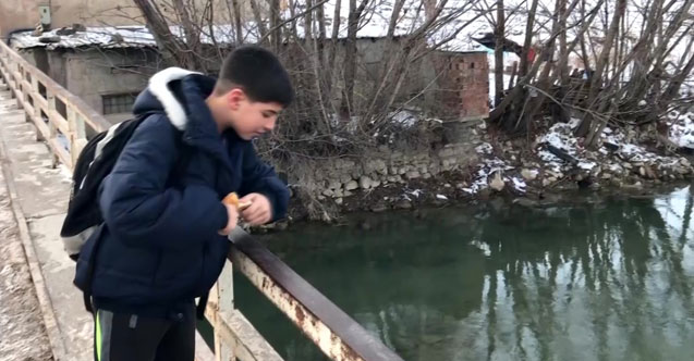 Misafir ördekleri vatandaşlar besliyor