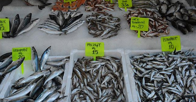 Trabzon'da balıkçılara 92 Bin TL'lik ceza