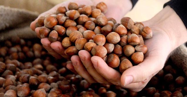 Fındıktaki tehdide çözüm arayışı