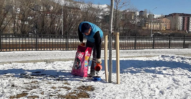 Bayburt'ta sokak hayvanları unutulmadı