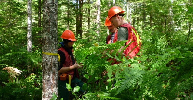 7 bin 442 kişi iş bulma imkanına kavuştu