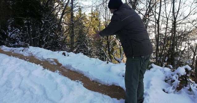Trabzon'da yaban hayvanları unutulmadı