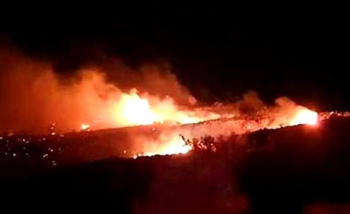 Cezayir'de askeri uçak düştü