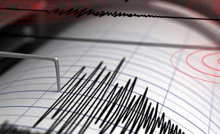 Marmaris açıklarında 4.1 büyüklüğünde deprem - 29 Ocak 2020
