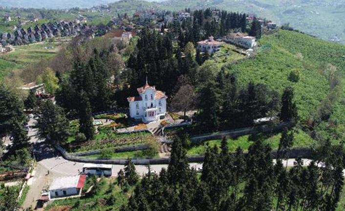 Atatürk Köşkü'nde 9 ağaçtan 1 milyon böcek!