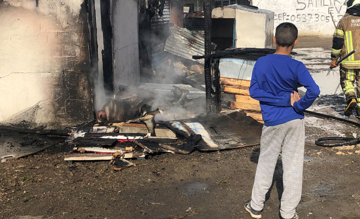 Soba borusu devrildi, gecekondu küle döndü