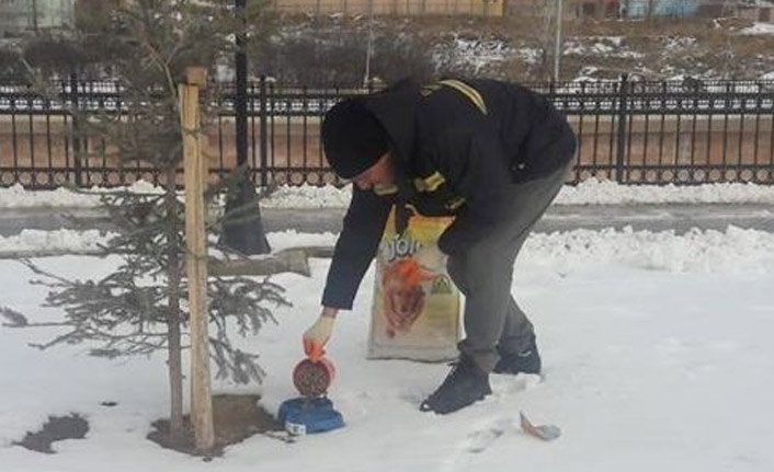 Bayburt'ta hayvanlar unutulmadı