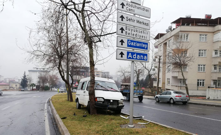 Refüjdeki ağaca çarparak durabildi